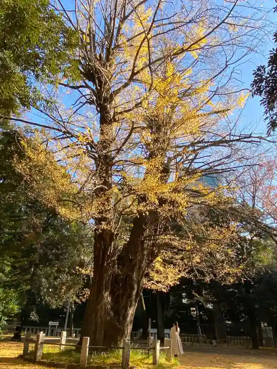 赤坂氷川神社(東京都)