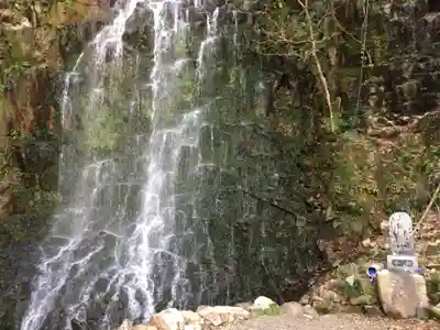瀧神社（都農神社末社（奥宮））の自然