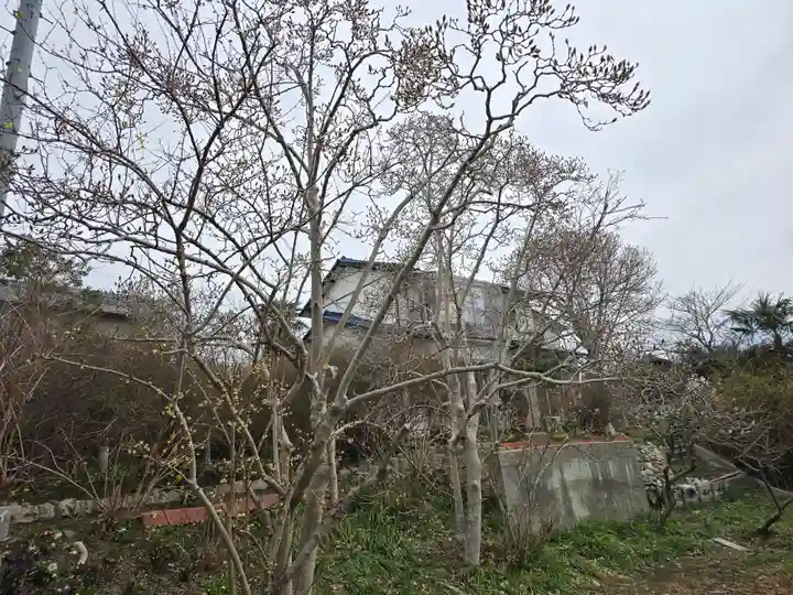 円照寺(兵庫県)