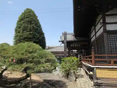 金剛院(沼田成田不動尊)(群馬県)