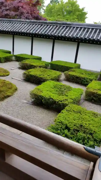 東福禅寺(東福寺)の庭園