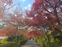 禪智坊(滋賀県)