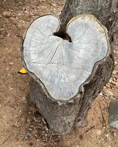 大谷地神社(北海道)
