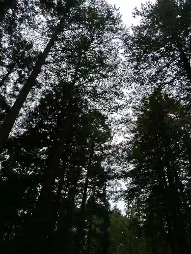 大正天皇多摩陵(東京都)