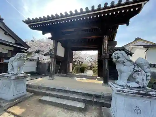 橘寺の山門