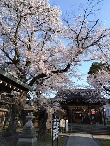  湊八幡神社(福井県)
