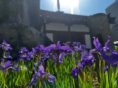 松本山 地福禅寺(滋賀県)