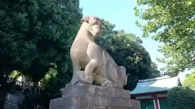 瀧泉寺(目黒不動尊)の狛犬