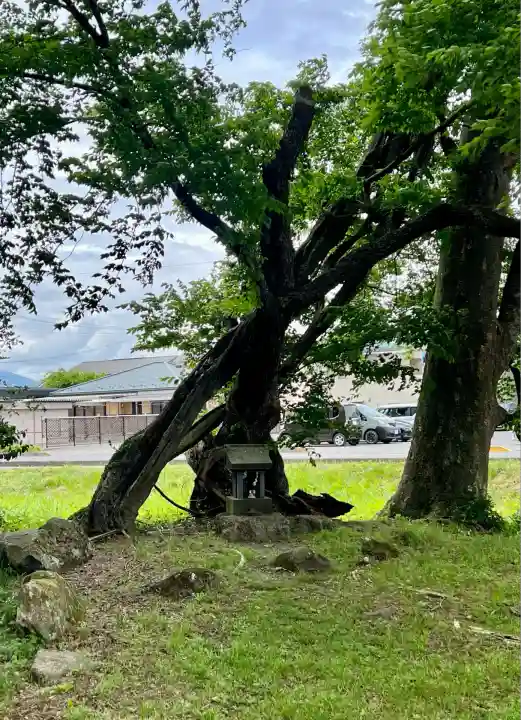 諏訪大社上社前宮(長野県)
