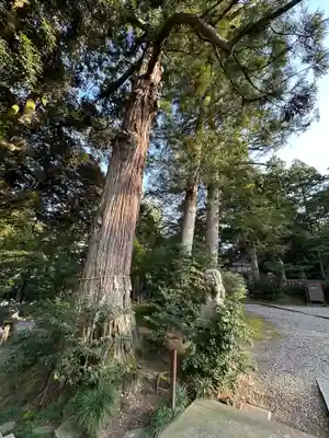 気多神社(富山県)
