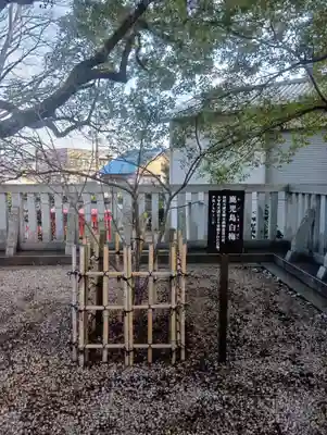 加納天満宮(岐阜県)