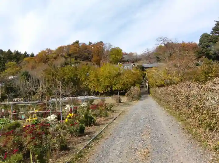 洞昌院(埼玉県)