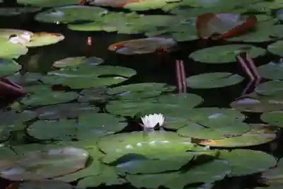 岩船寺(京都府)