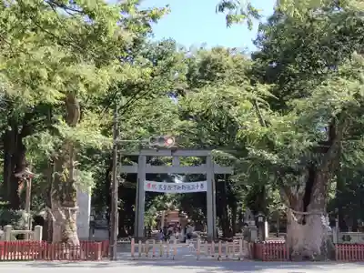 大國魂神社の鳥居