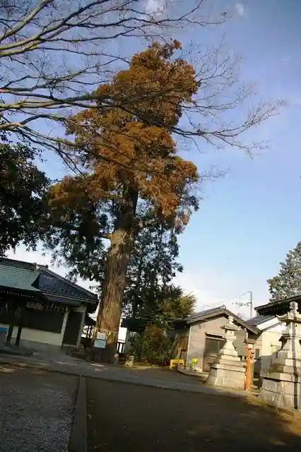 熊野神社(埼玉県)