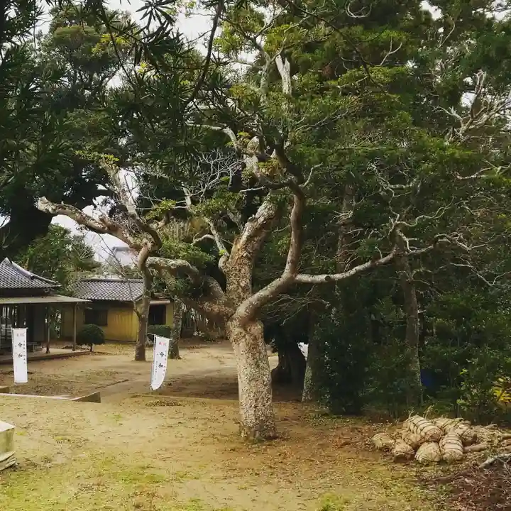 鹿嶋吉田神社の自然
