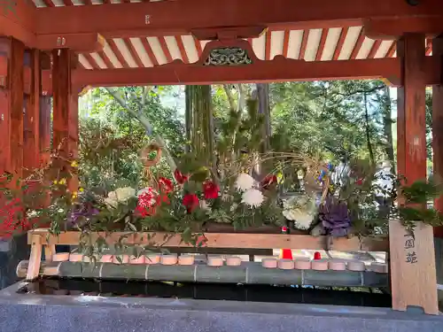 武蔵一宮氷川神社(埼玉県)