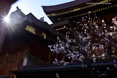 湯島天満宮のその他建物