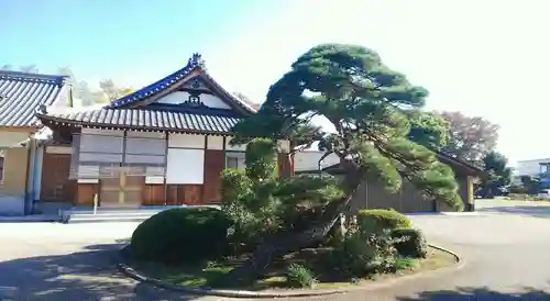妙顕寺の本殿・本堂