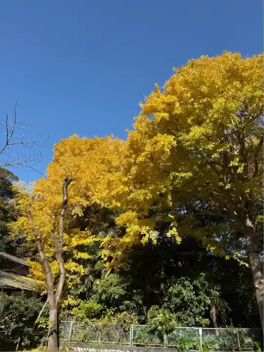 高徳院(神奈川県)