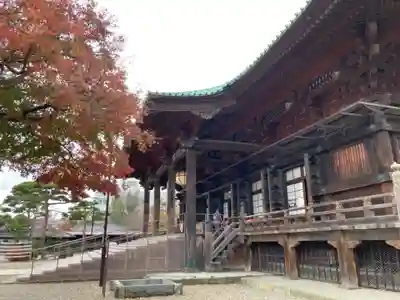 護国寺の本殿・本堂