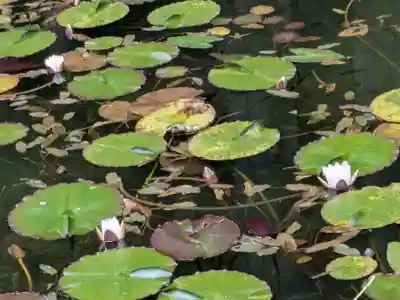 根道神社(岐阜県)
