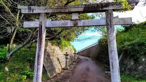 津島神社の鳥居