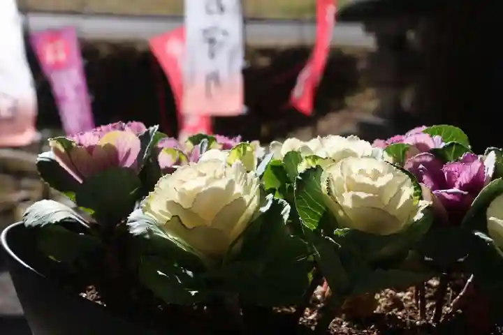 高司神社〜むすびの神の鎮まる社〜の庭園