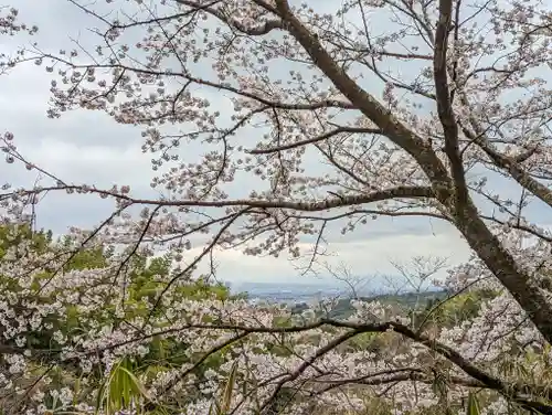 勝持寺（花の寺）(京都府)