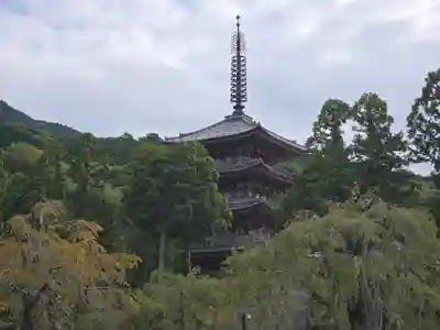 醍醐寺(京都府)
