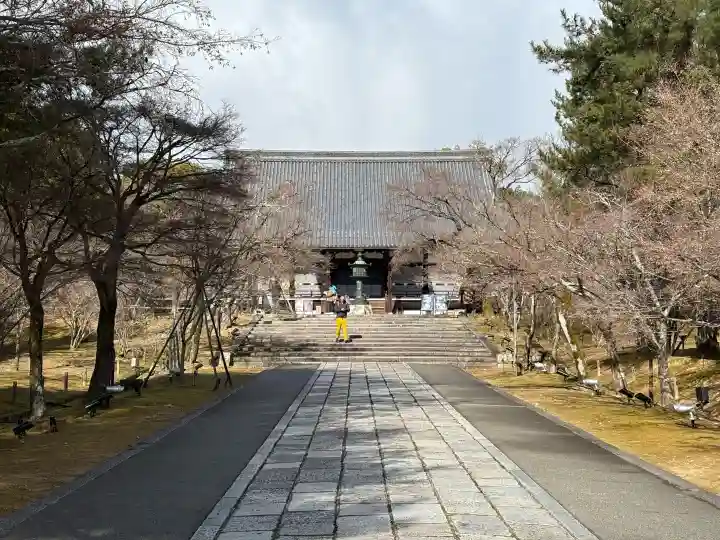 仁和寺の{uncategorized: "未分類", other: "その他", undefined: "問題あり", building: "その他建物", grave: "お墓", sacred_gate: "鳥居", guardian: "狛犬", statue: "像", buddha: "仏像", history: "歴史", nature: "自然", garden: "庭園", animal: "動物", pagoda: "塔", temizu: "手水舎", mountain_gate: "山門・神門", sanctuary: "本殿・本堂", subordinate: "末社・摂社", art: "芸術", scenery: "景色", jizo: "地蔵", ema: "絵馬", goshuin: "御朱印", omikuji: "おみくじ", items: "授与品その他", amulet: "お守り", goshuincho: "御朱印帳", eats: "食事", festival: "お祭り", votive_dance: "神楽", shichigosan: "七五三参", wedding: "結婚式", experience: "体験その他", initially: "初詣", around: "周辺", anti_infection: "感染症対策"}