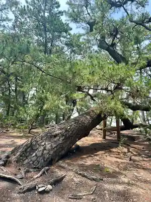 羽車神社(静岡県)