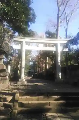 代々木八幡宮の鳥居