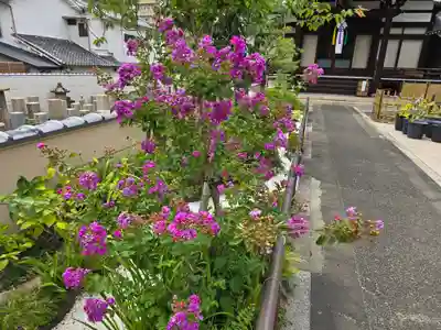 善福寺(大阪府)