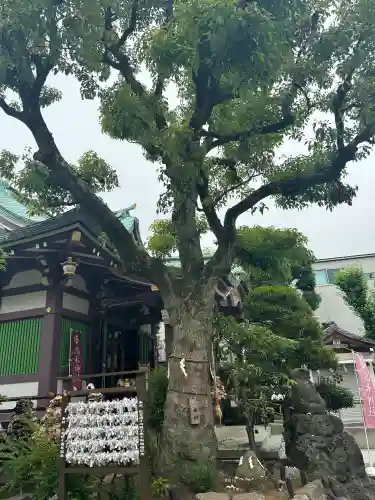 高木神社(東京都)