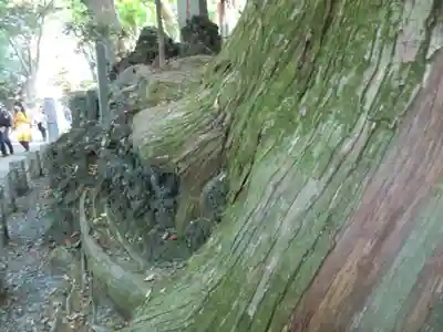 高尾山薬王院(東京都)