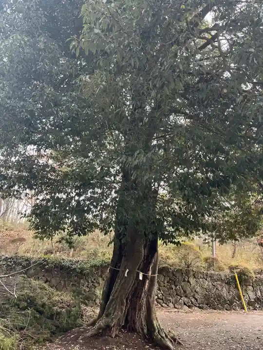 三峯神社(群馬県)