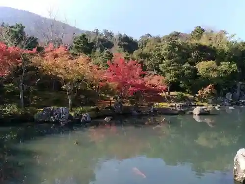 天龍寺の庭園