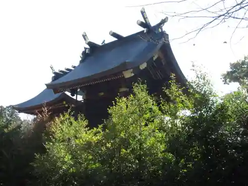 鷲宮神社の本殿