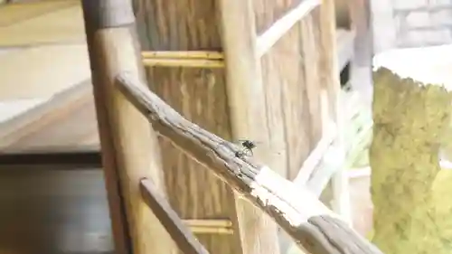 詩仙堂（丈山寺）(京都府)