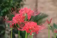 阿邪訶根神社の庭園