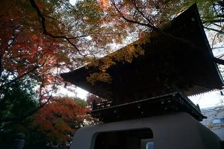 大正寺の山門・神門