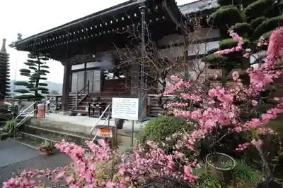 眞珠院の本殿・本堂