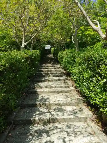 崇禅寺(群馬県)