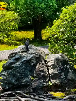 天球院(京都府)