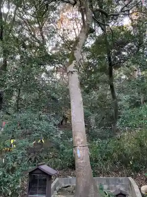 美具久留御魂神社(大阪府)
