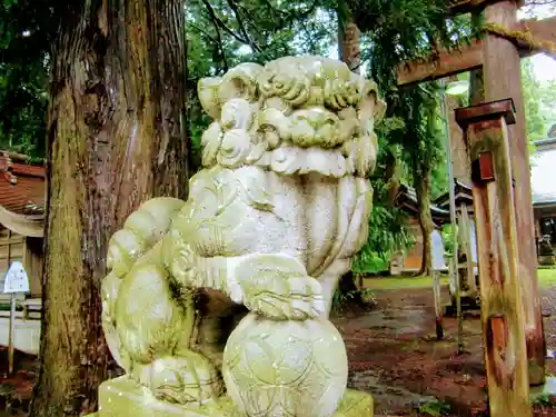 心清水八幡神社の狛犬