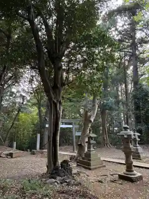 熊野神社(千葉県)