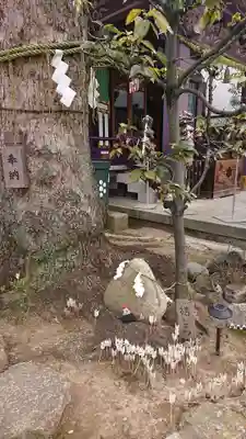 高木神社のその他建物