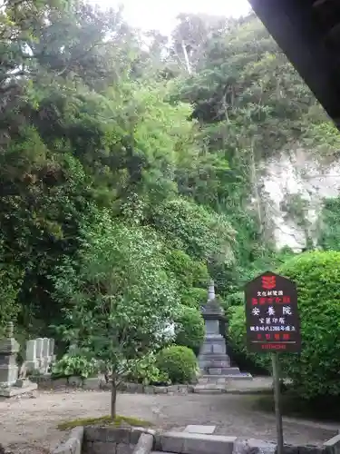 安養院　(田代寺）の庭園